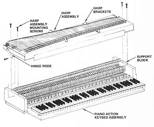 Rhodes Early Design Harp/Action Assembly - Exploded View