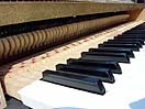 Rhodes Student Piano - Action